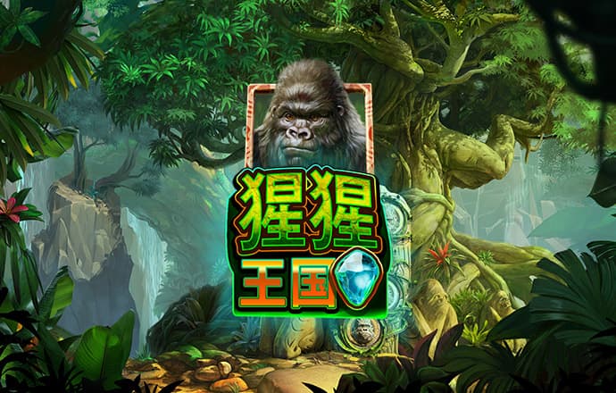 333体育登录入口最新版下载